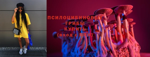 бошки Абинск